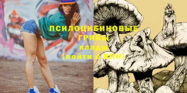 apvp Магадан