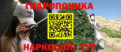 мдпв Кандалакша