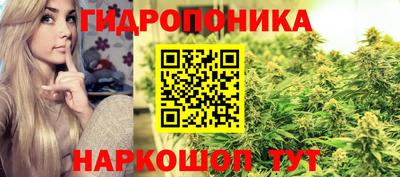 мдпв Кандалакша