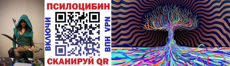 kraken маркетплейс  купить наркоту  Рубцовск  Псилоцибиновые грибы MAGIC MUSHROOMS 