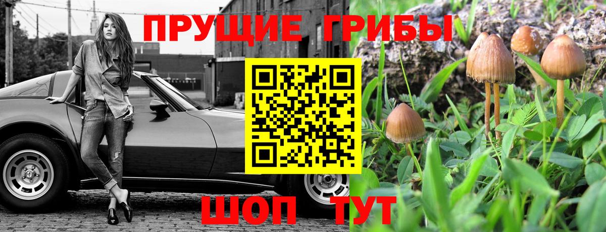 Псилоцибиновые грибы ЛСД Рубцовск